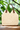 Fame Boho Shoulder Bag with Rustic Vegan Leather Strap