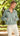 Aemi + Co Half Zip Raglan Sleeve Sweatshirt with Kangaroo Pocket - La Dolce Fiona