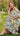 ADORA Layered Floral Off - Shoulder Short Sleeve Maxi Dress - La Dolce Fiona