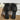 Open Toe Block Heels Sandals - La Dolce Fiona