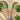Open Toe Flats Sandals - La Dolce Fiona