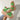 Open Toe Wedge Sandals - La Dolce Fiona