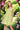 ADORA Smocked Back Ruffled Cap Sleeve Babydoll Dress - La Dolce Fiona