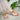 Toe Post Flats Sandals - La Dolce Fiona