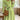 Wave Print Long Sleeve Tie Waist Dress - La Dolce Fiona